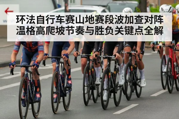 环法自行车赛山地赛段波加查对阵温格高爬坡节奏与胜负关键点全解（kaiyun）